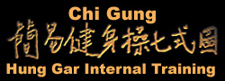 Theory: Chi Gung