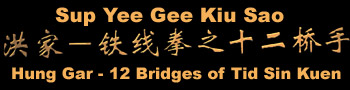 Theory: 12 Bridges of Tid Sin Kuen