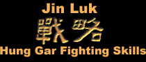 Theory: Jin Luk