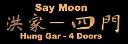 Theory: Say Moon